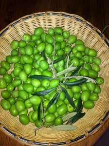 Olives are an Israeli specialty. (Photo: The Seven Fruits of the Land of Israel)