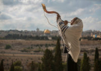Mount of Olives, Oct 2012
