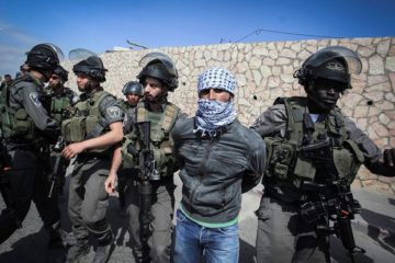 IDF arrests terrorist