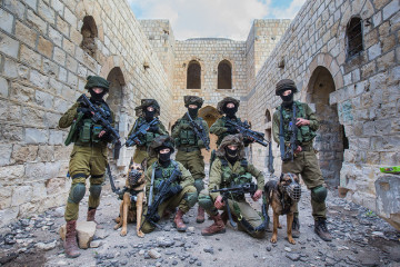 IDF counter terror