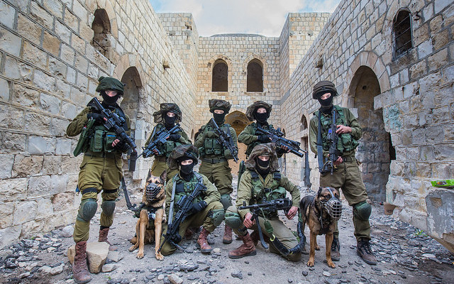 Israeli forces thwarted 29 major terror attacks, hundreds of smaller attacks, in 2015