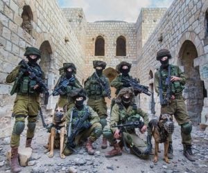 IDF counter terror