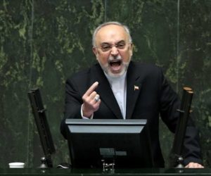 Head of Iran's Atomic Energy Organization Ali Akbar Salehi