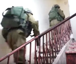 IDF captures Palestinian terrorists