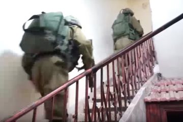 IDF captures Palestinian terrorists