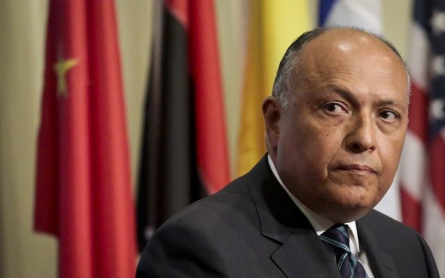 Egyptian FM sparks outrage for refusing to call IDF killings ‘terrorism’