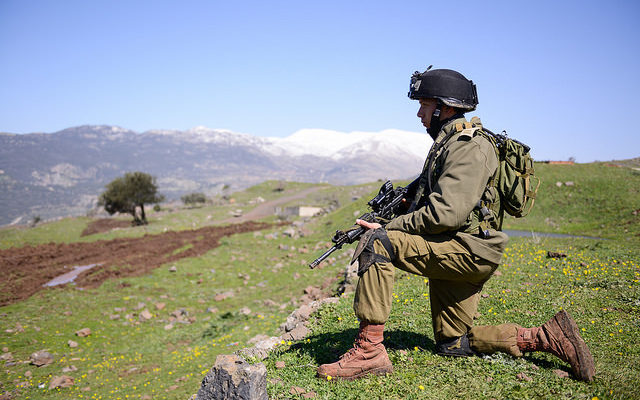 Shots fired near IDF patrol on Hermon