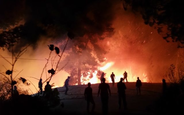 Arson suspected as fires burn across Israel