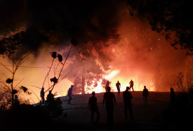 Arson suspected as fires burn across Israel