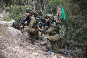 IDF training