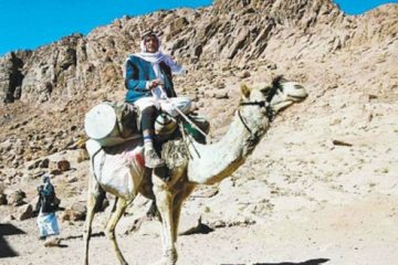 Tarabin Bedouin in the Sinai