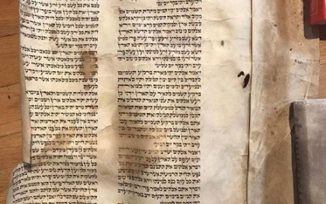 Holocaust-era Torah scroll fragments returned to Jewish hands