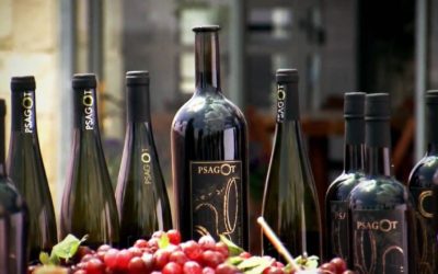 Psagot Winery