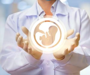 embryo science