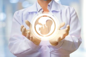 embryo science