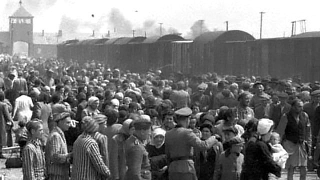 One quarter of all Jewish Holocaust victims murdered in 100 days in 1942