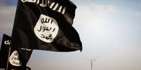 ISIS flags