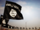 ISIS flags