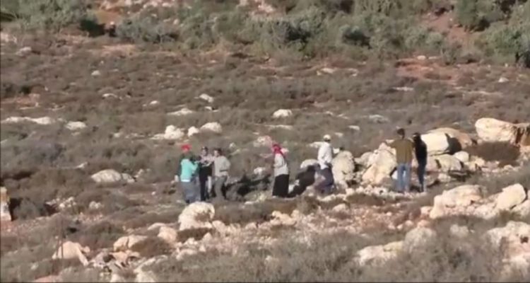 Arabs, Jews clash in Samaria during olive harvest