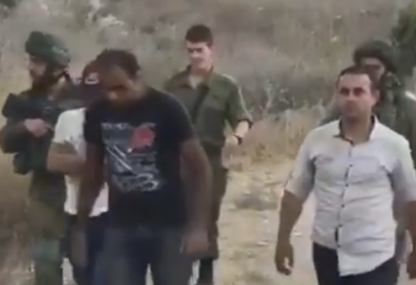 20 Palestinians indicted over massive agricultural theft in Israel