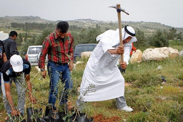 Palestinian group plants trees to block Israeli construction