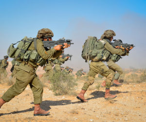 IDF desert