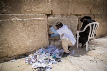 Western Wall Cleaning
