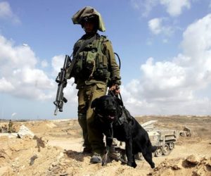 IDF gaza border
