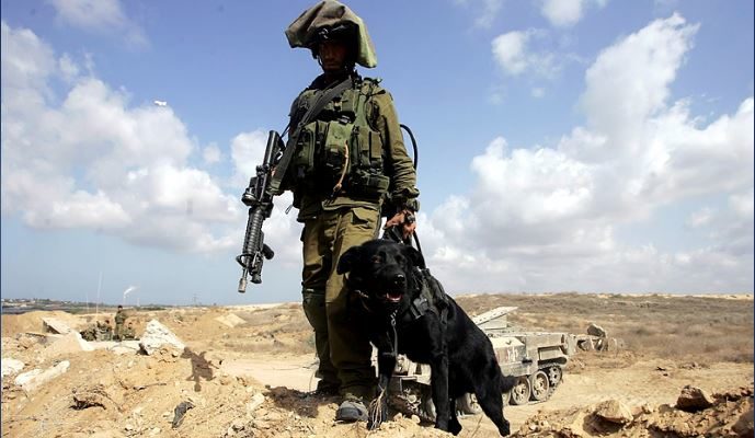 IDF arrests 2 armed Palestinian infiltrators from Gaza