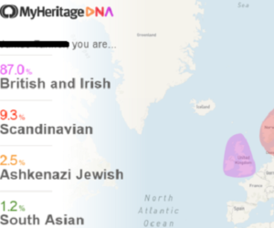 MyHeritage DNA map. (courtesy)