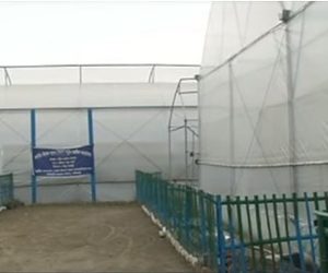 Israeli greenhouses in India