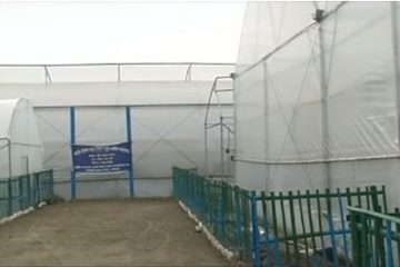 Israeli greenhouses in India