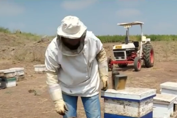 An Israeli beekeeper. (screenshot)