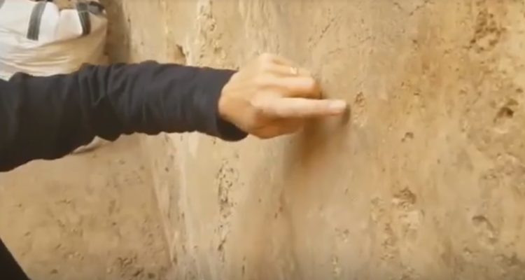 Ancient ship, animal etchings found in Beersheba