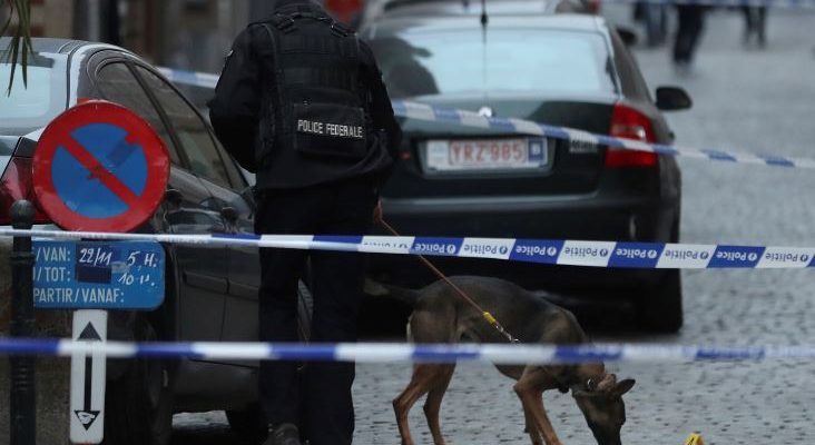 Man yelling ‘allahu akbar’ stabs policeman in Brussels