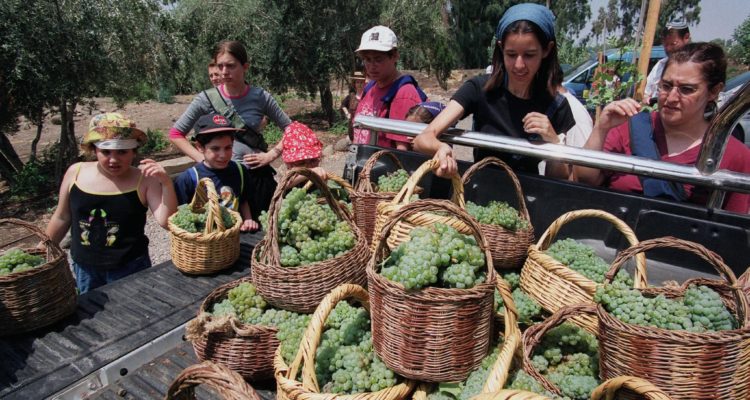 Israeli farmers launch charm offensive against European boycotts