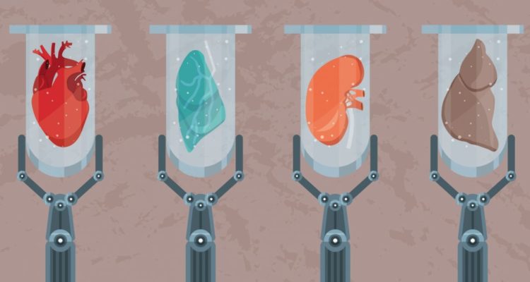 Israeli scientists invent unrejectable organs