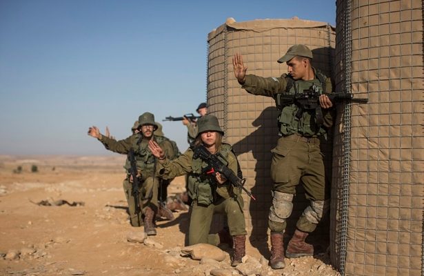 Far-left activists disrupt IDF live-fire drill in Hebron Hills