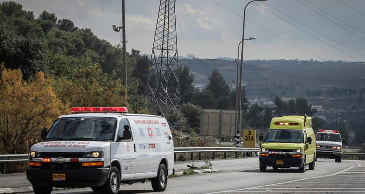 Ramming attack in Samaria, terrorist shot and wounded