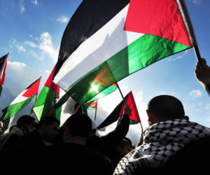 Palestinians wave Palestinian flags