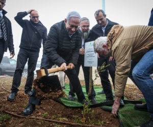 Netanyahu plants an olive tree near the Netiv Ha'avot neighborhood (Marc Israel Sellem/POOL)