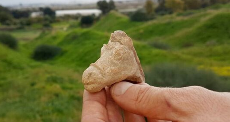 Israel’s heavy rains reveal ancient horse figurines over 2,000 years old