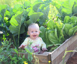 A baby seen playing in a vegetable garden. (Flash90/Chen Leopold)