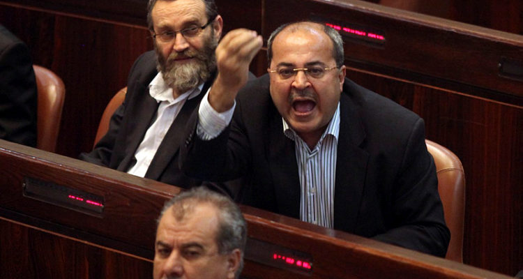 Anti-Zionist Arab MK: We provided Lapid-Bennett govt with safety net