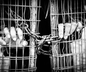 Jail prison chains