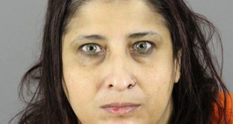 Palestinian-American mother of 7 pleads guilty to planning ISIS attacks