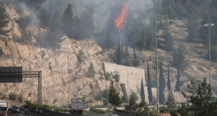 Massive wildfires sweep Israel day after Palestinians launch 10 arson balloons