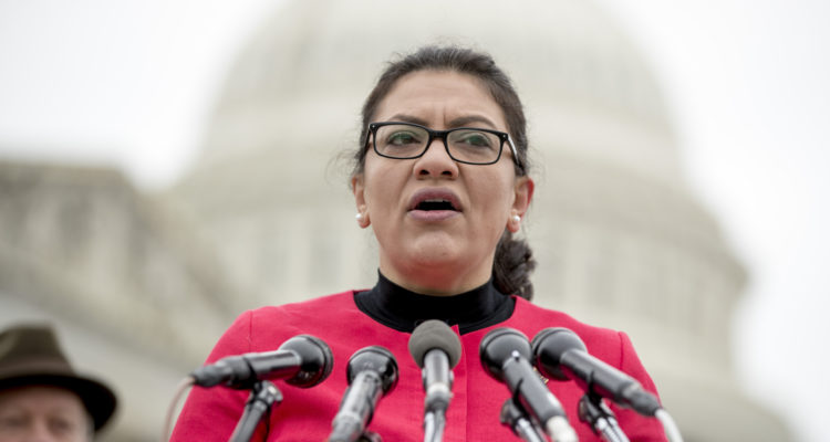 Israeli UN envoy, top US Jewish group call out Tlaib over Holocaust comments