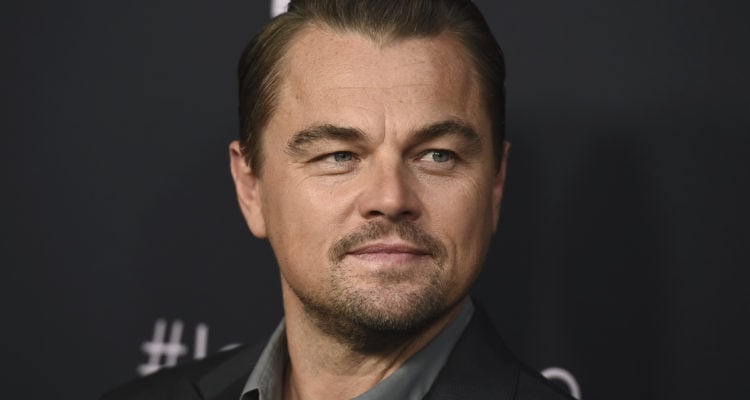 Bar Refaeli’s lawyers want Dicaprio to testify in tax evasion case