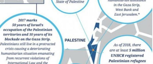 New Zealand map Palestine